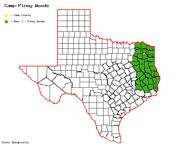Camp-PIney Woods.gif