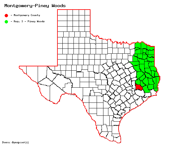 Montgomery-red-PIney Woods.gif