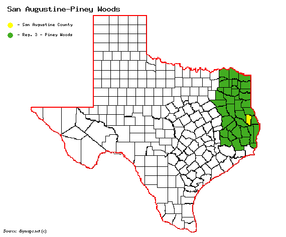 San Augustine-PIney Woods.gif