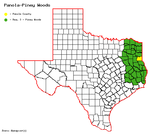 Panola-PIney Woods.gif