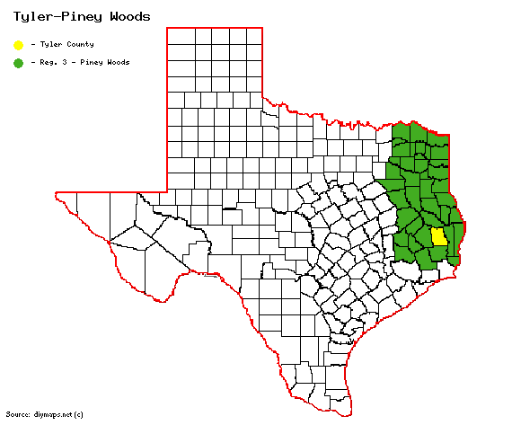 Tyler-Piney Woods.gif