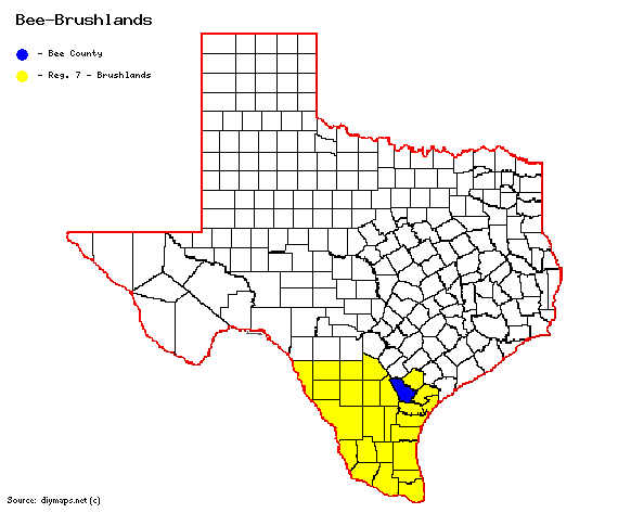 Bee-Brushlands.gif