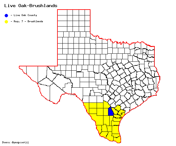 Live Oak-Brushlands.gif