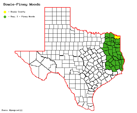 Bowie-PIney Woods.gif