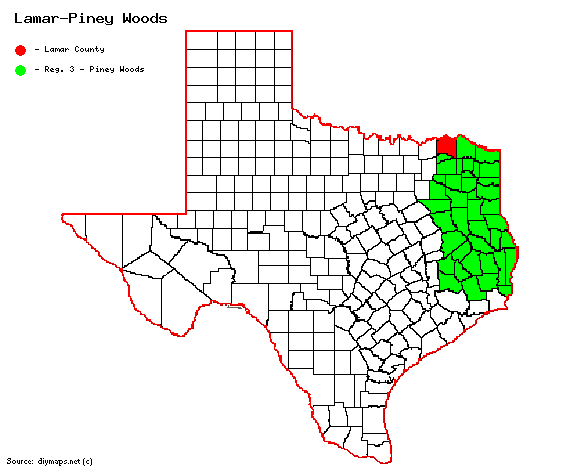 Lamar-red-PIney Woods.gif