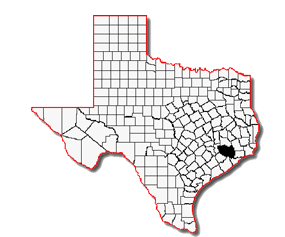 Harris County Location of Harris County Texas