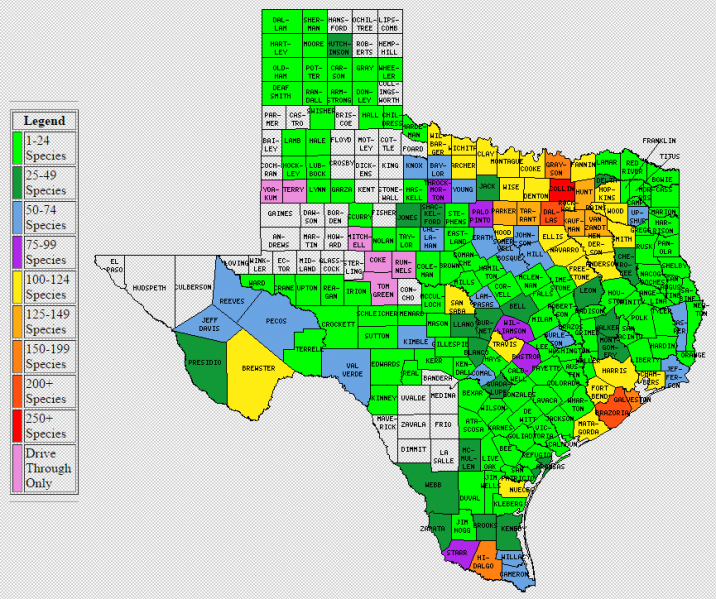 File:TX County Map.png