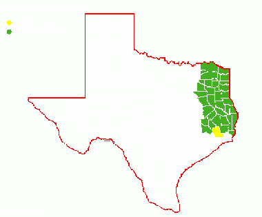 Liberty-PIney Woods.gif