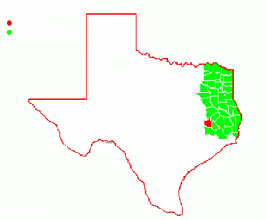 Walker-red-Piney Woods.gif